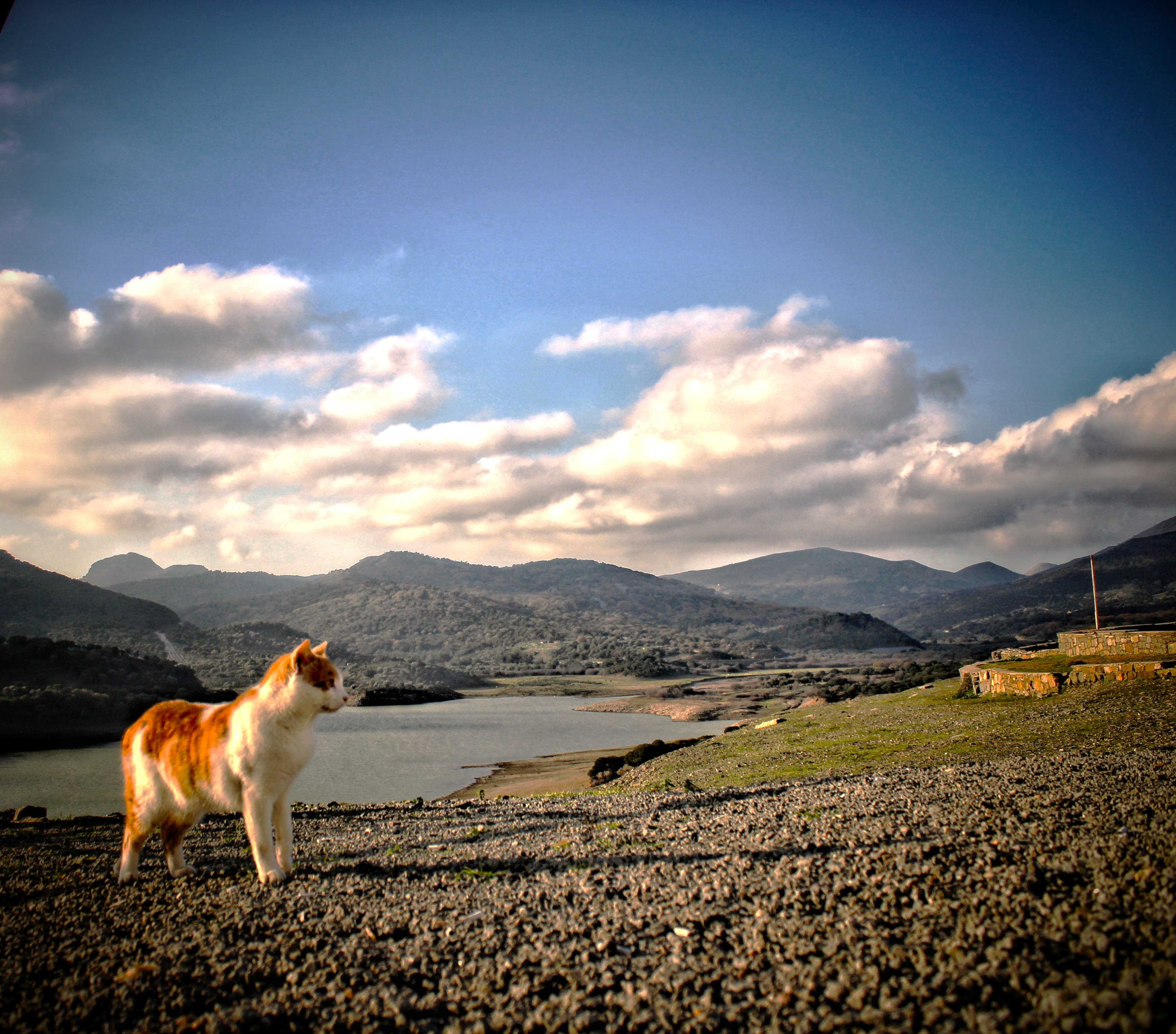 Quiet Moments — Moment 1