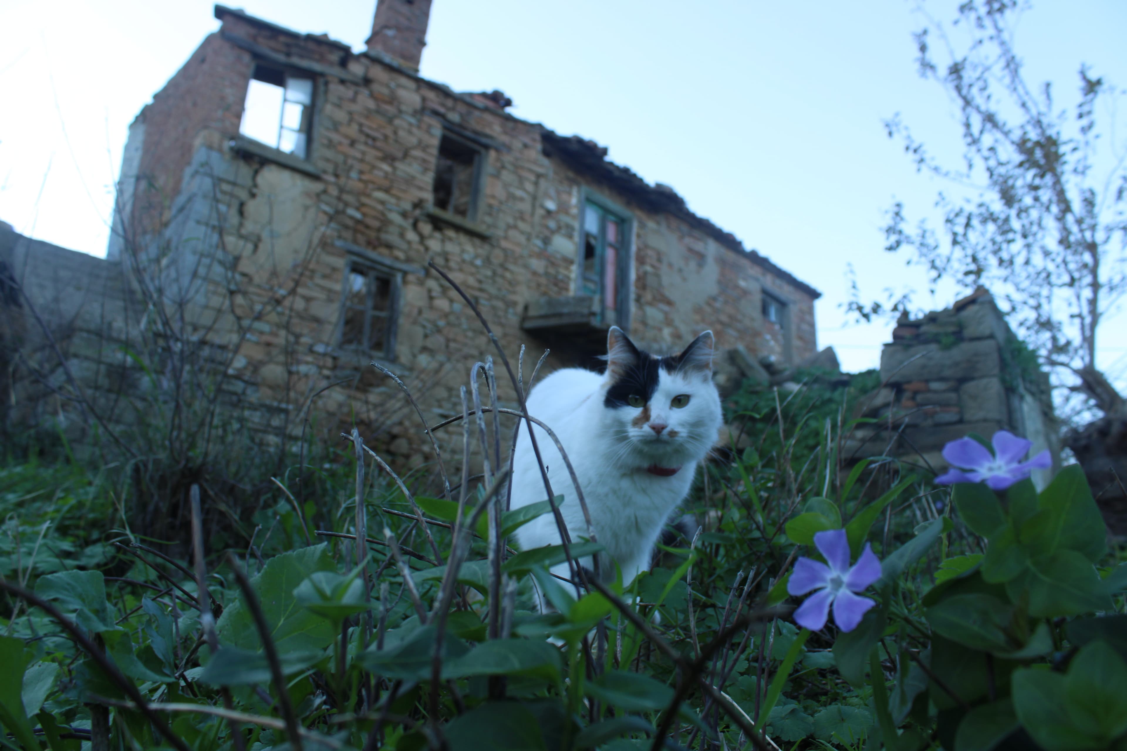 Quiet Moments — Moment 2