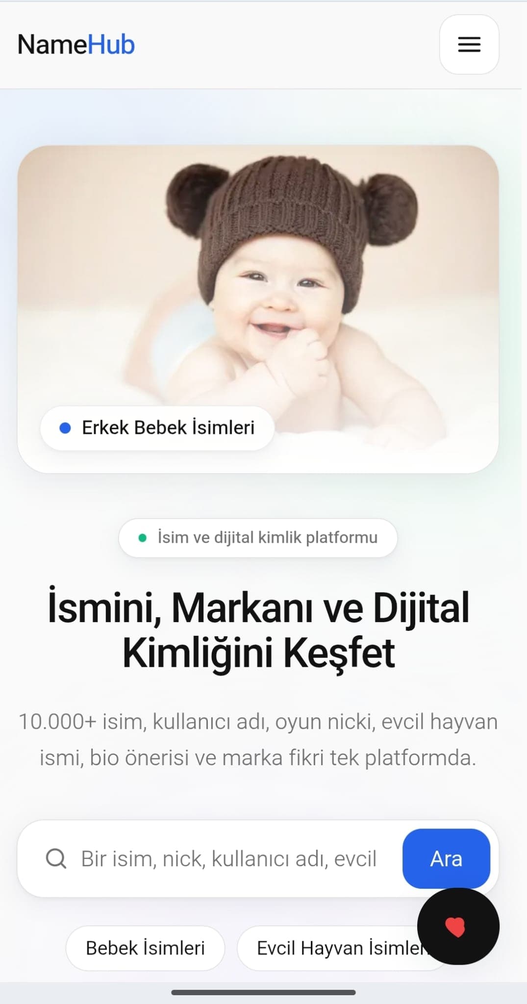 Namehub.tr