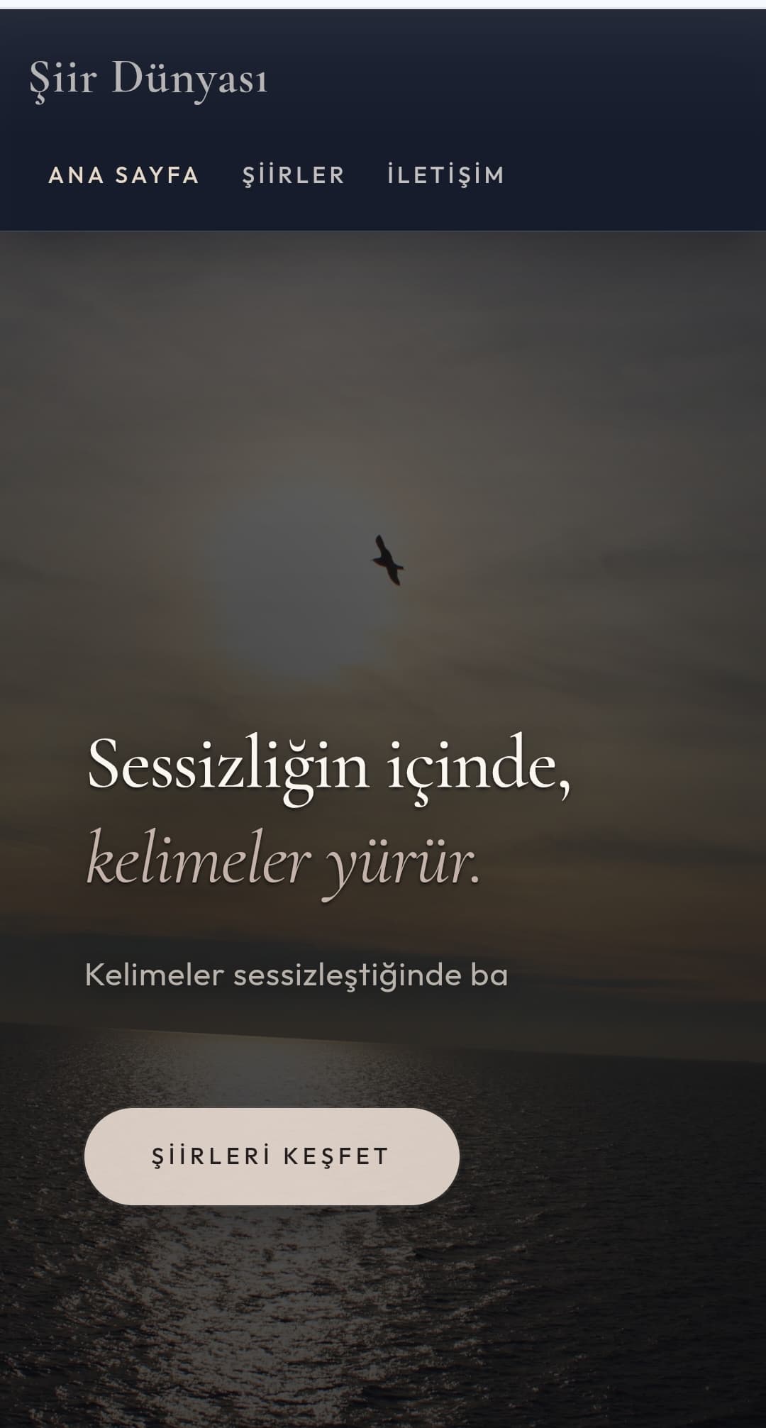 Şiir Dünyası